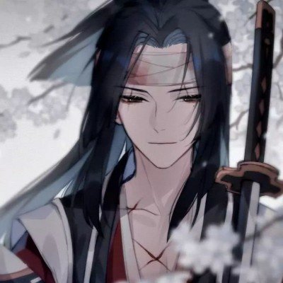 老头乐向小米汽车致歉